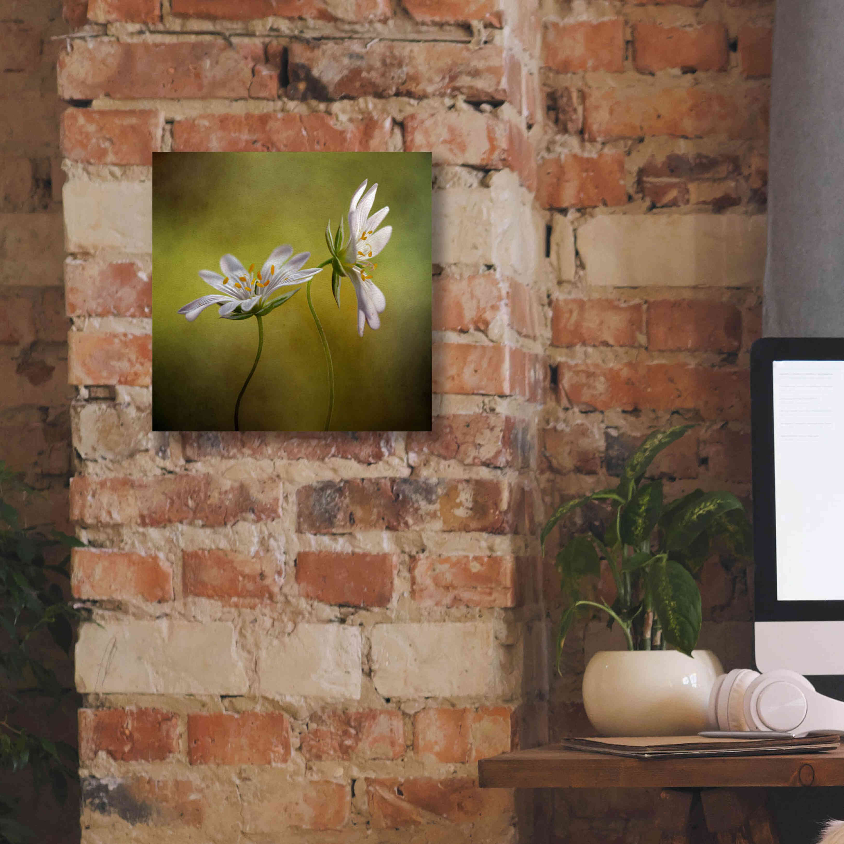 'Echo' by Mandy Disher, Giclee Canvas Wall Art,12x12