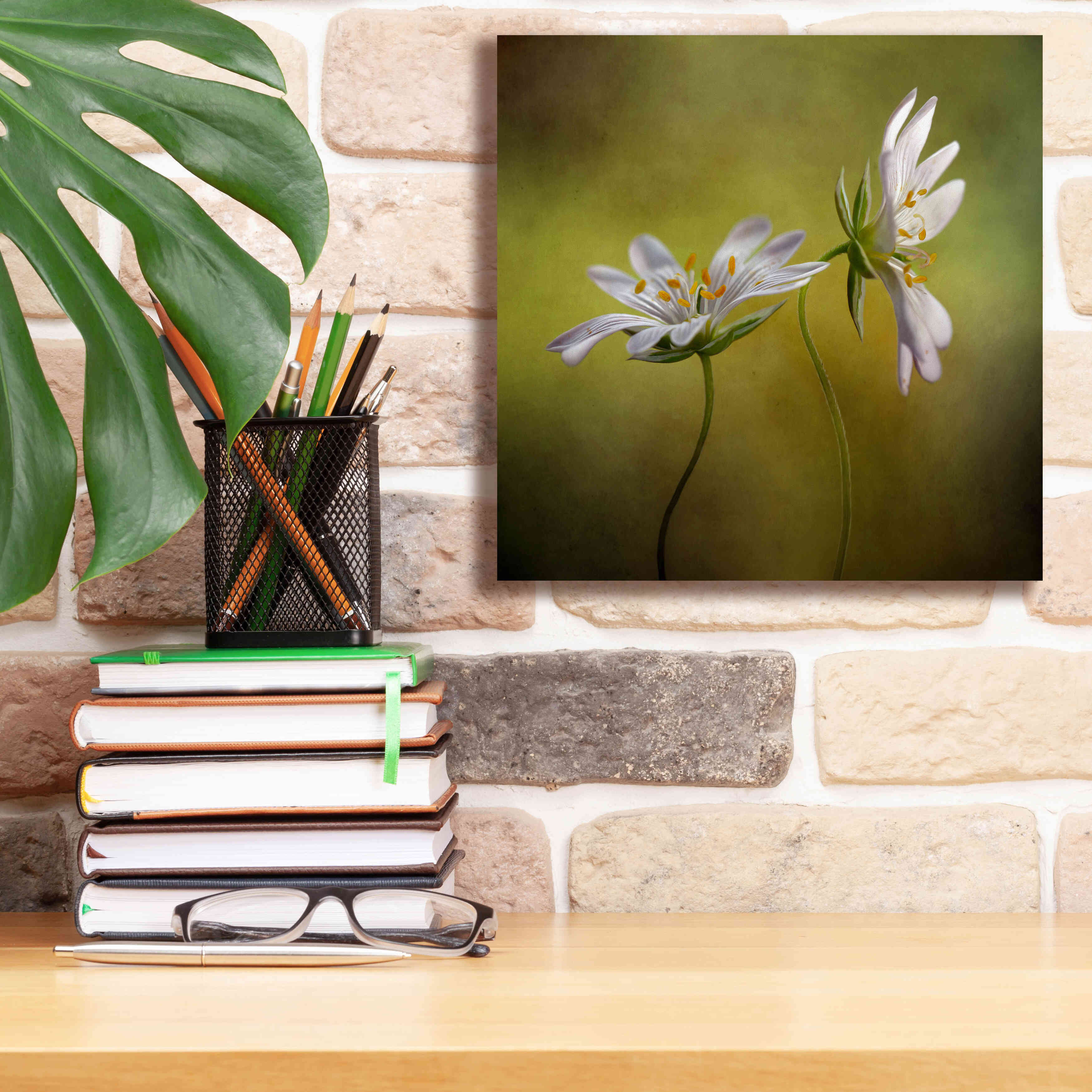 'Echo' by Mandy Disher, Giclee Canvas Wall Art,12x12