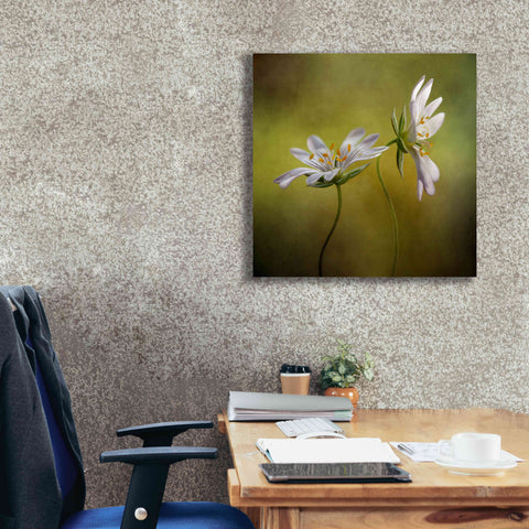 Image of 'Echo' by Mandy Disher, Giclee Canvas Wall Art,26x26