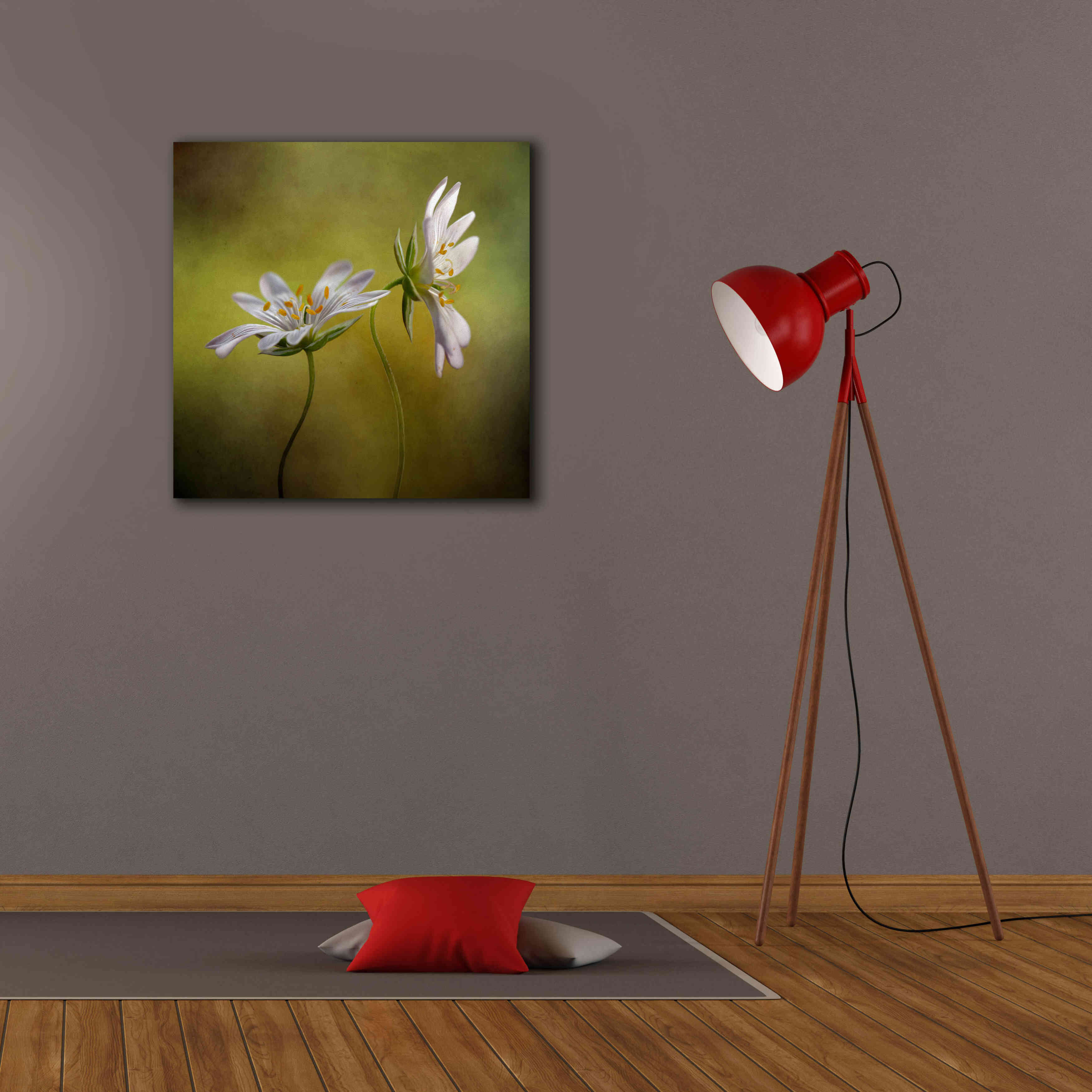 'Echo' by Mandy Disher, Giclee Canvas Wall Art,26x26