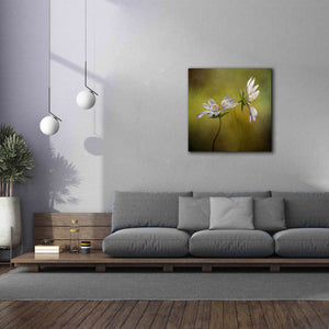 'Echo' by Mandy Disher, Giclee Canvas Wall Art,37x37