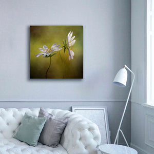 'Echo' by Mandy Disher, Giclee Canvas Wall Art,37x37