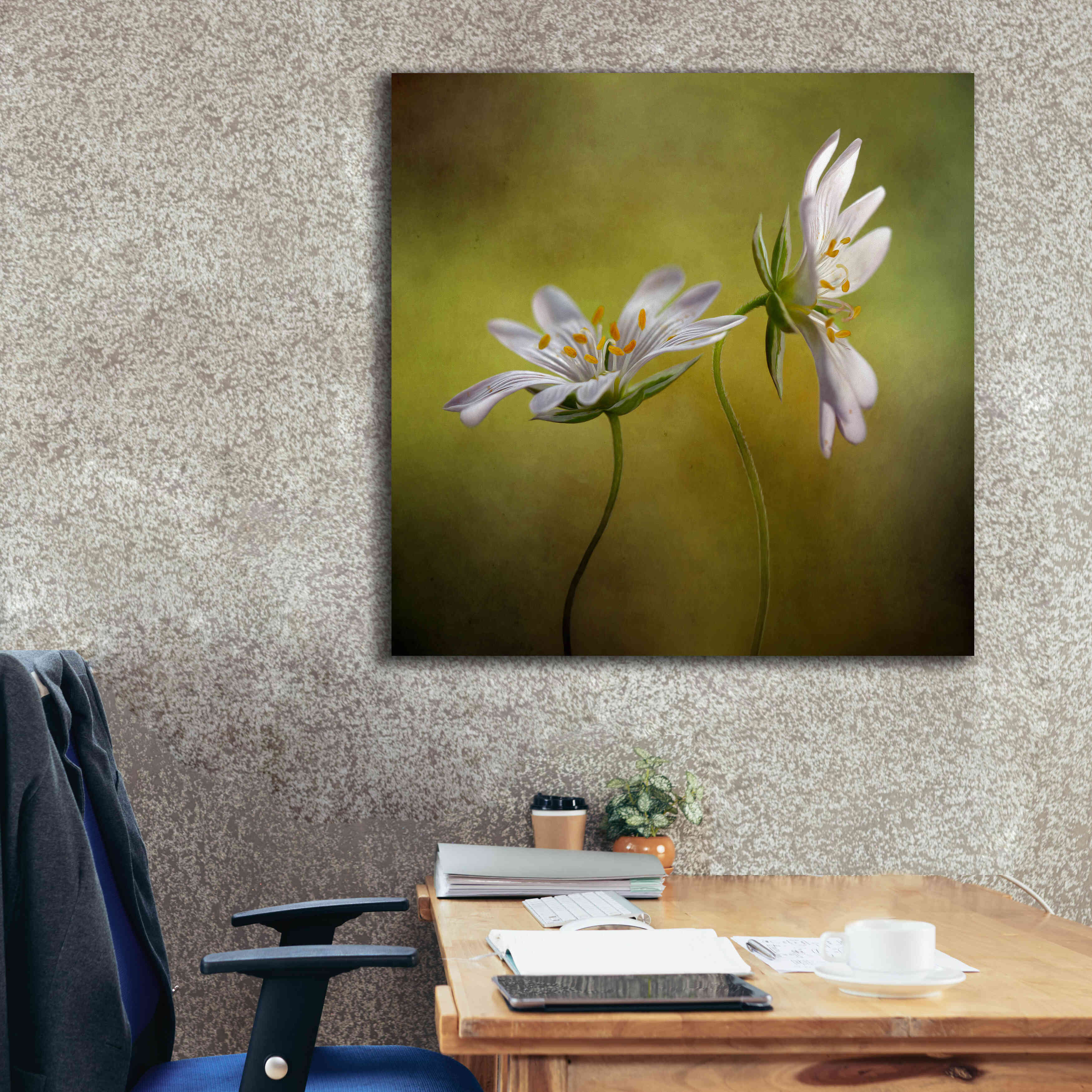 'Echo' by Mandy Disher, Giclee Canvas Wall Art,37x37