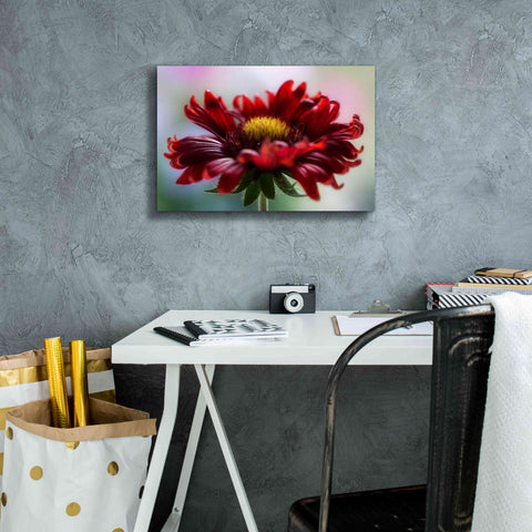 Image of 'Flame' by Mandy Disher, Giclee Canvas Wall Art,18x12