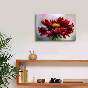 'Flame' by Mandy Disher, Giclee Canvas Wall Art,18x12