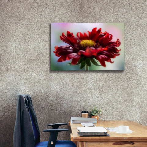 Image of 'Flame' by Mandy Disher, Giclee Canvas Wall Art,40x26