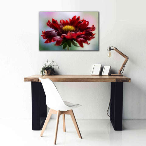 Image of 'Flame' by Mandy Disher, Giclee Canvas Wall Art,40x26