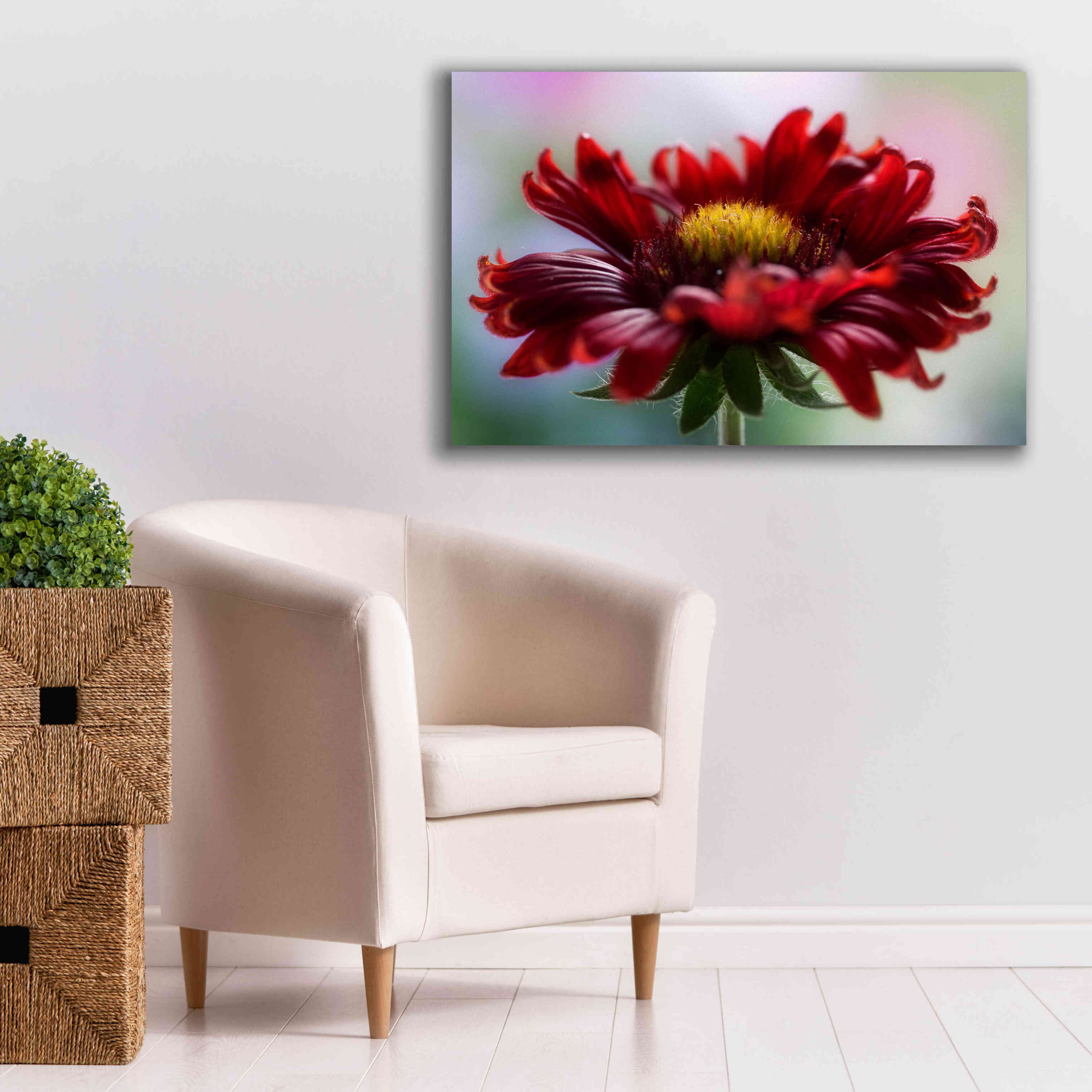 'Flame' by Mandy Disher, Giclee Canvas Wall Art,40x26