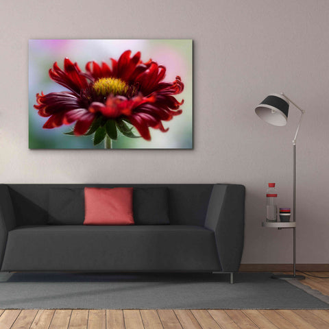 Image of 'Flame' by Mandy Disher, Giclee Canvas Wall Art,60x40