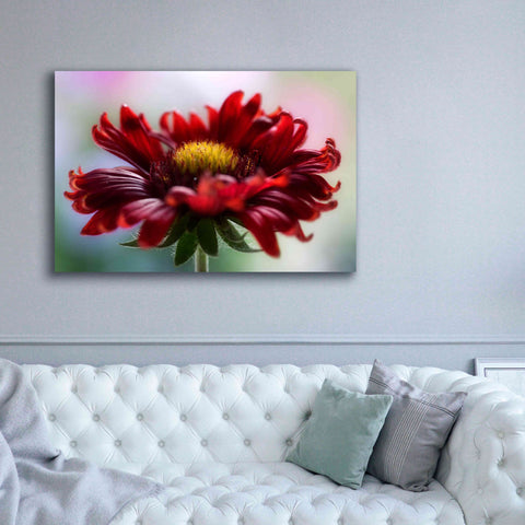 Image of 'Flame' by Mandy Disher, Giclee Canvas Wall Art,60x40