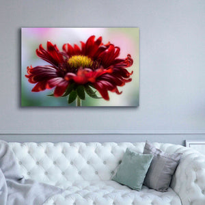 'Flame' by Mandy Disher, Giclee Canvas Wall Art,60x40