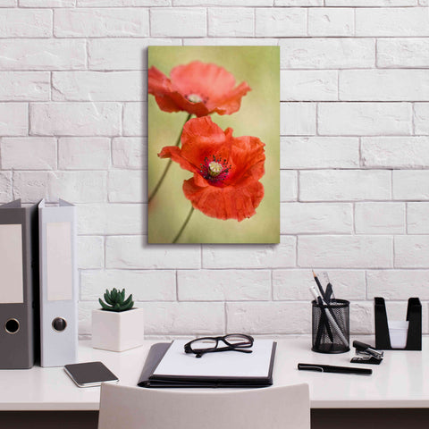 Image of 'Papaver Passion' by Mandy Disher, Giclee Canvas Wall Art,12x18