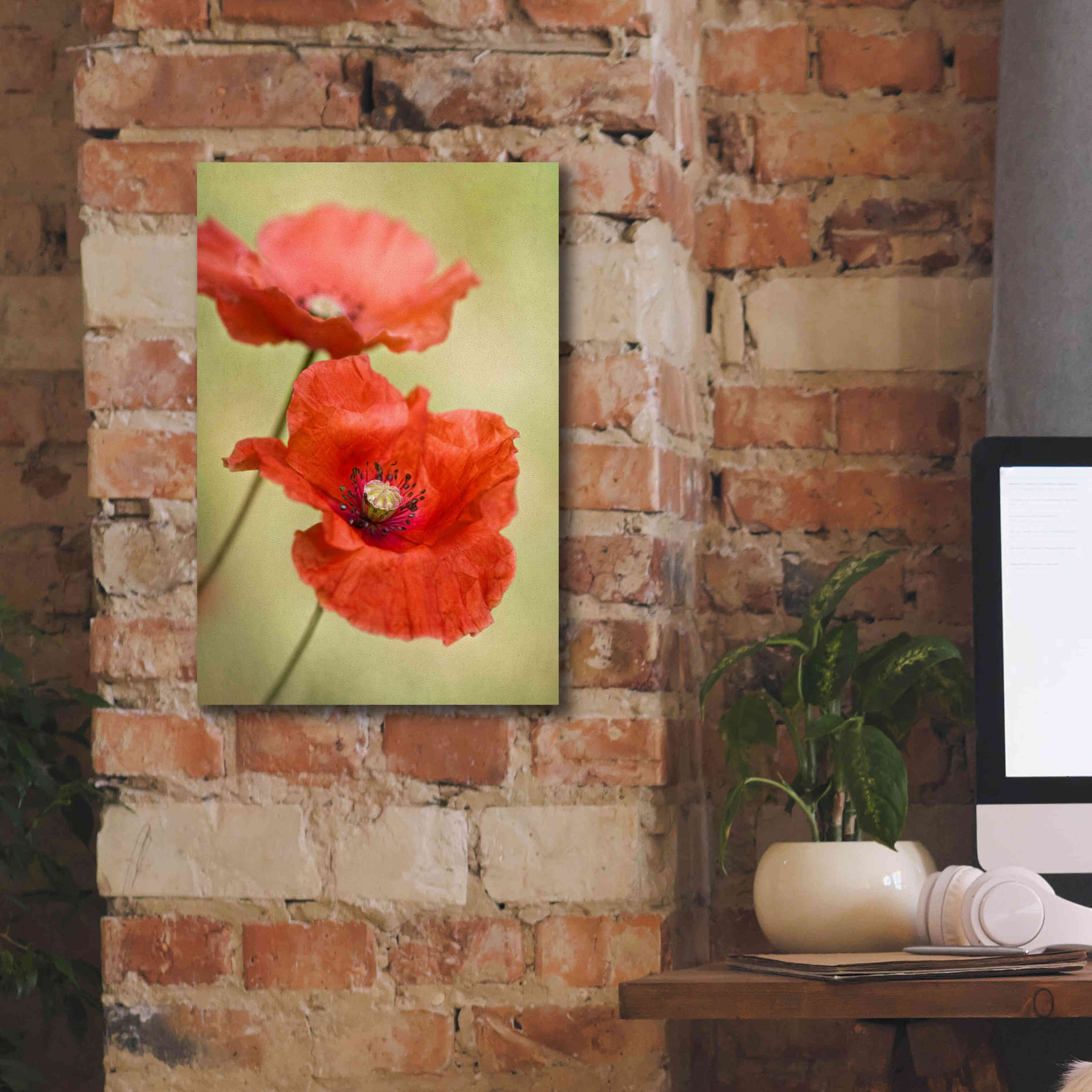 'Papaver Passion' by Mandy Disher, Giclee Canvas Wall Art,12x18