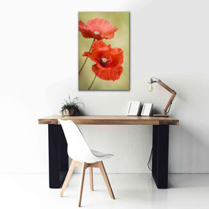 'Papaver Passion' by Mandy Disher, Giclee Canvas Wall Art,26x40