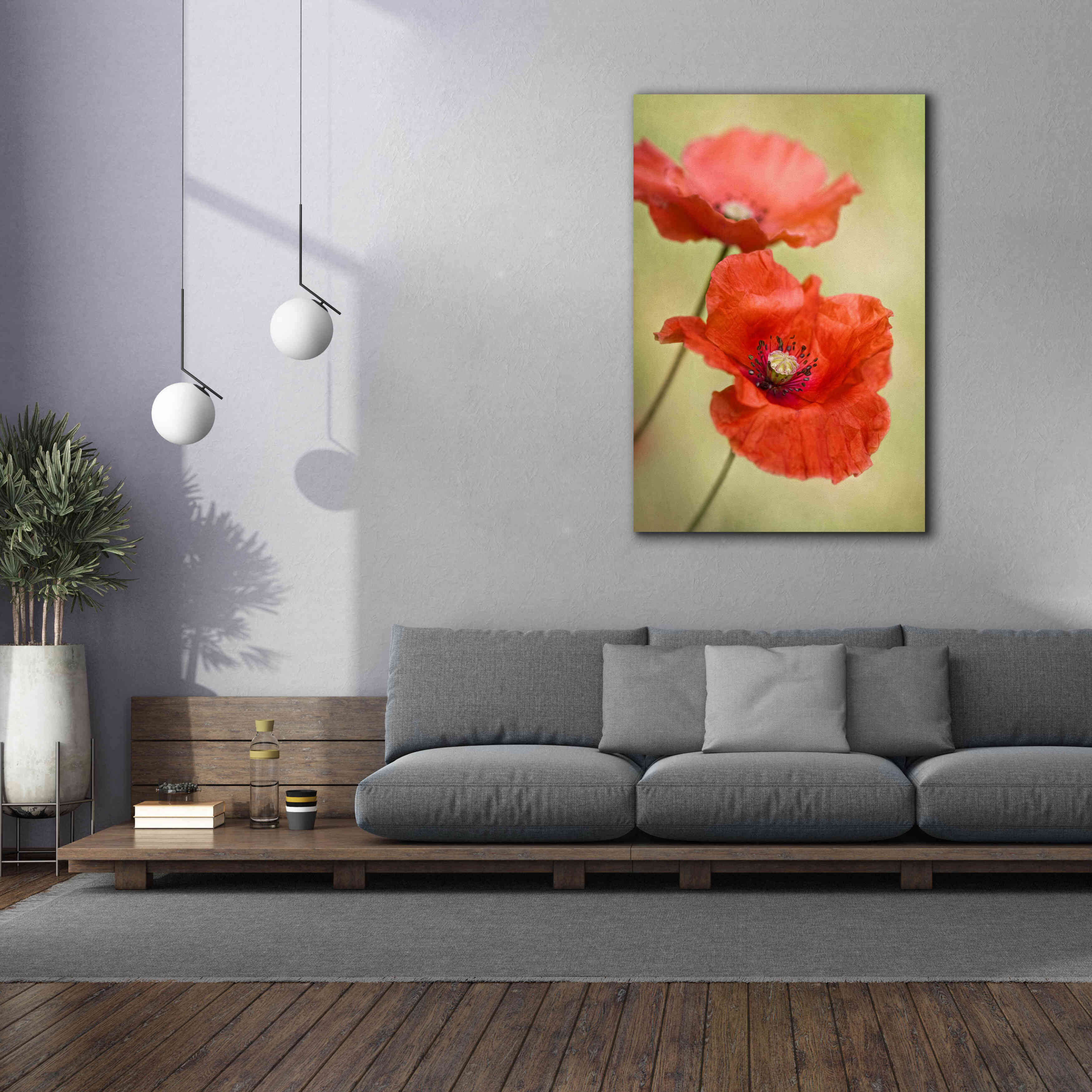 'Papaver Passion' by Mandy Disher, Giclee Canvas Wall Art,40x60