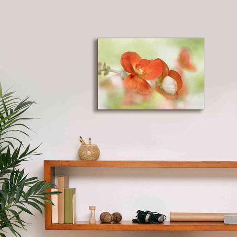 Image of 'Summer Glow' by Mandy Disher, Giclee Canvas Wall Art,18x12