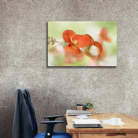 Image of 'Summer Glow' by Mandy Disher, Giclee Canvas Wall Art,40x26