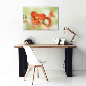 'Summer Glow' by Mandy Disher, Giclee Canvas Wall Art,40x26