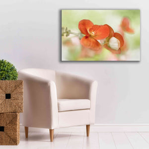 'Summer Glow' by Mandy Disher, Giclee Canvas Wall Art,40x26