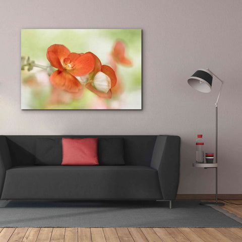 Image of 'Summer Glow' by Mandy Disher, Giclee Canvas Wall Art,60x40