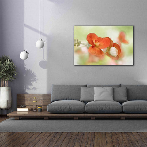 Image of 'Summer Glow' by Mandy Disher, Giclee Canvas Wall Art,60x40