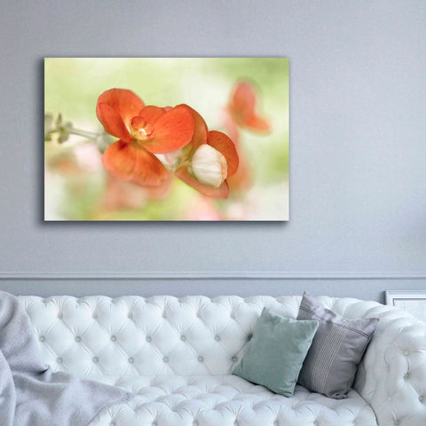Image of 'Summer Glow' by Mandy Disher, Giclee Canvas Wall Art,60x40