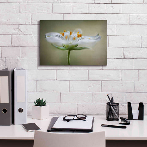 Image of 'Summer Swirl' by Mandy Disher, Giclee Canvas Wall Art,18x12