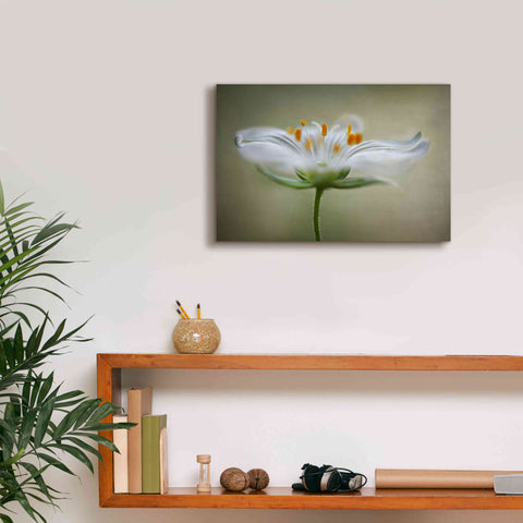 Image of 'Summer Swirl' by Mandy Disher, Giclee Canvas Wall Art,18x12