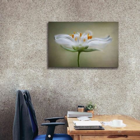 Image of 'Summer Swirl' by Mandy Disher, Giclee Canvas Wall Art,40x26