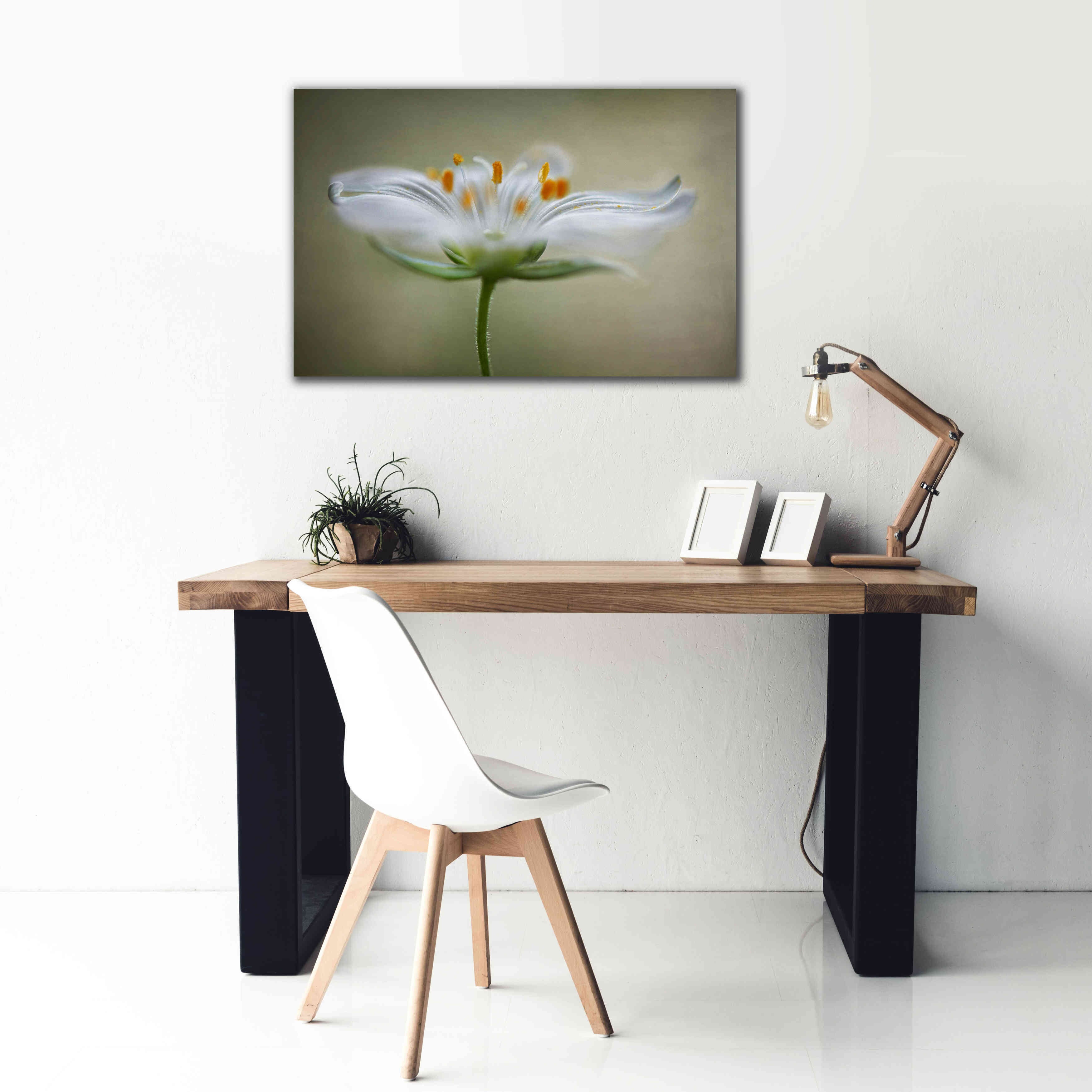 'Summer Swirl' by Mandy Disher, Giclee Canvas Wall Art,40x26