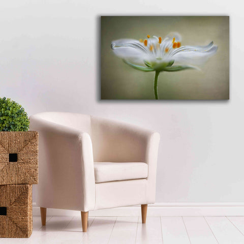 Image of 'Summer Swirl' by Mandy Disher, Giclee Canvas Wall Art,40x26