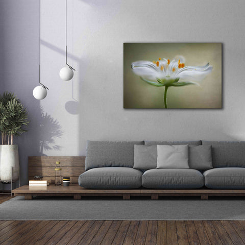 Image of 'Summer Swirl' by Mandy Disher, Giclee Canvas Wall Art,60x40