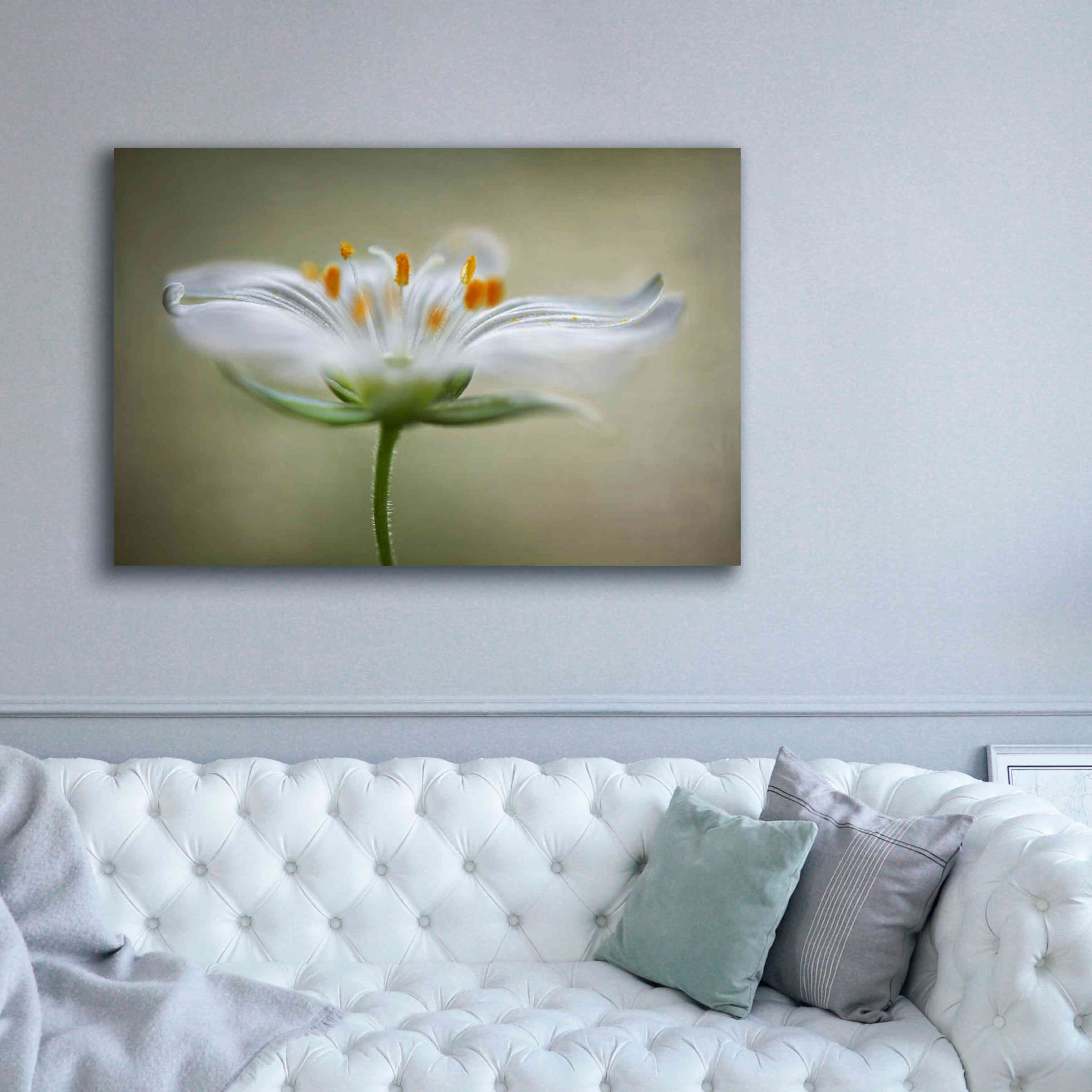 'Summer Swirl' by Mandy Disher, Giclee Canvas Wall Art,60x40