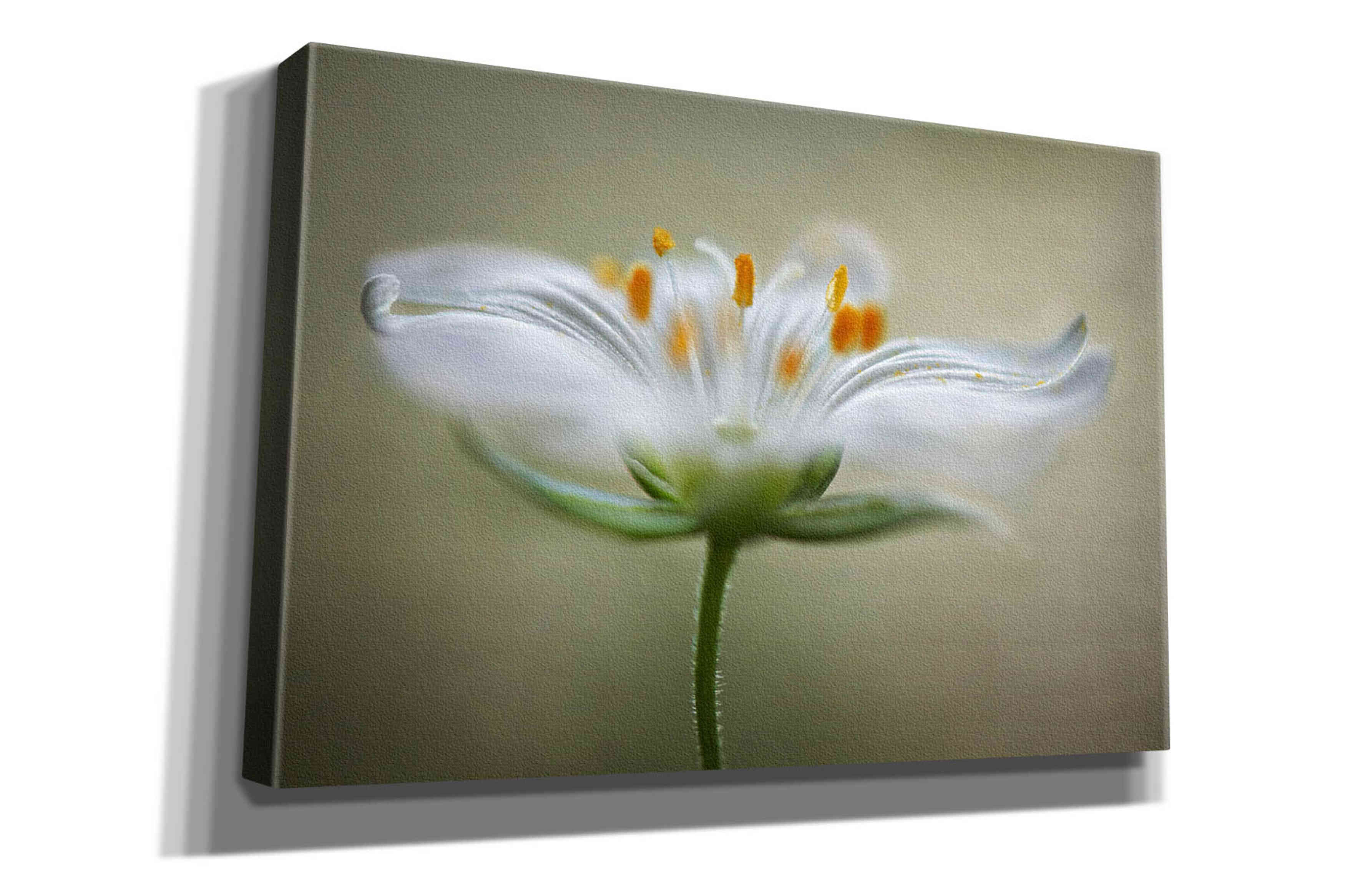 'Summer Swirl' by Mandy Disher, Giclee Canvas Wall Art