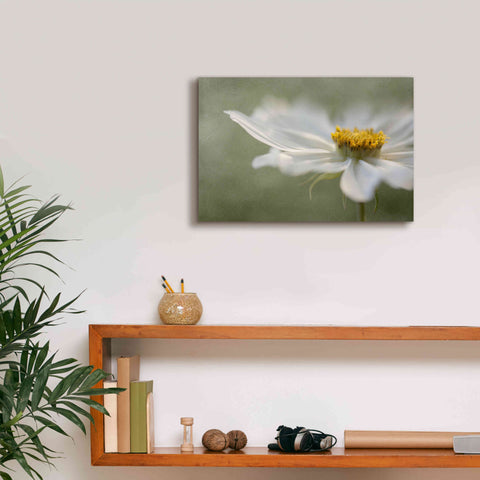 Image of 'Whisper' by Mandy Disher, Giclee Canvas Wall Art,18x12