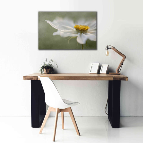 Image of 'Whisper' by Mandy Disher, Giclee Canvas Wall Art,40x26