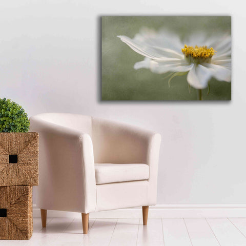 Image of 'Whisper' by Mandy Disher, Giclee Canvas Wall Art,40x26