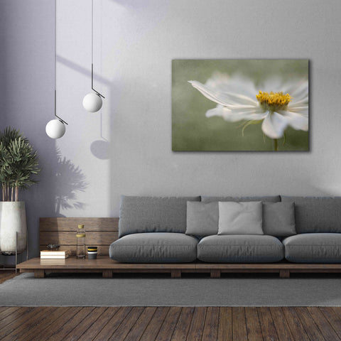 Image of 'Whisper' by Mandy Disher, Giclee Canvas Wall Art,60x40