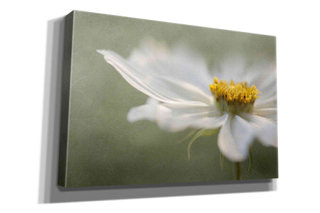 'Whisper' by Mandy Disher, Giclee Canvas Wall Art