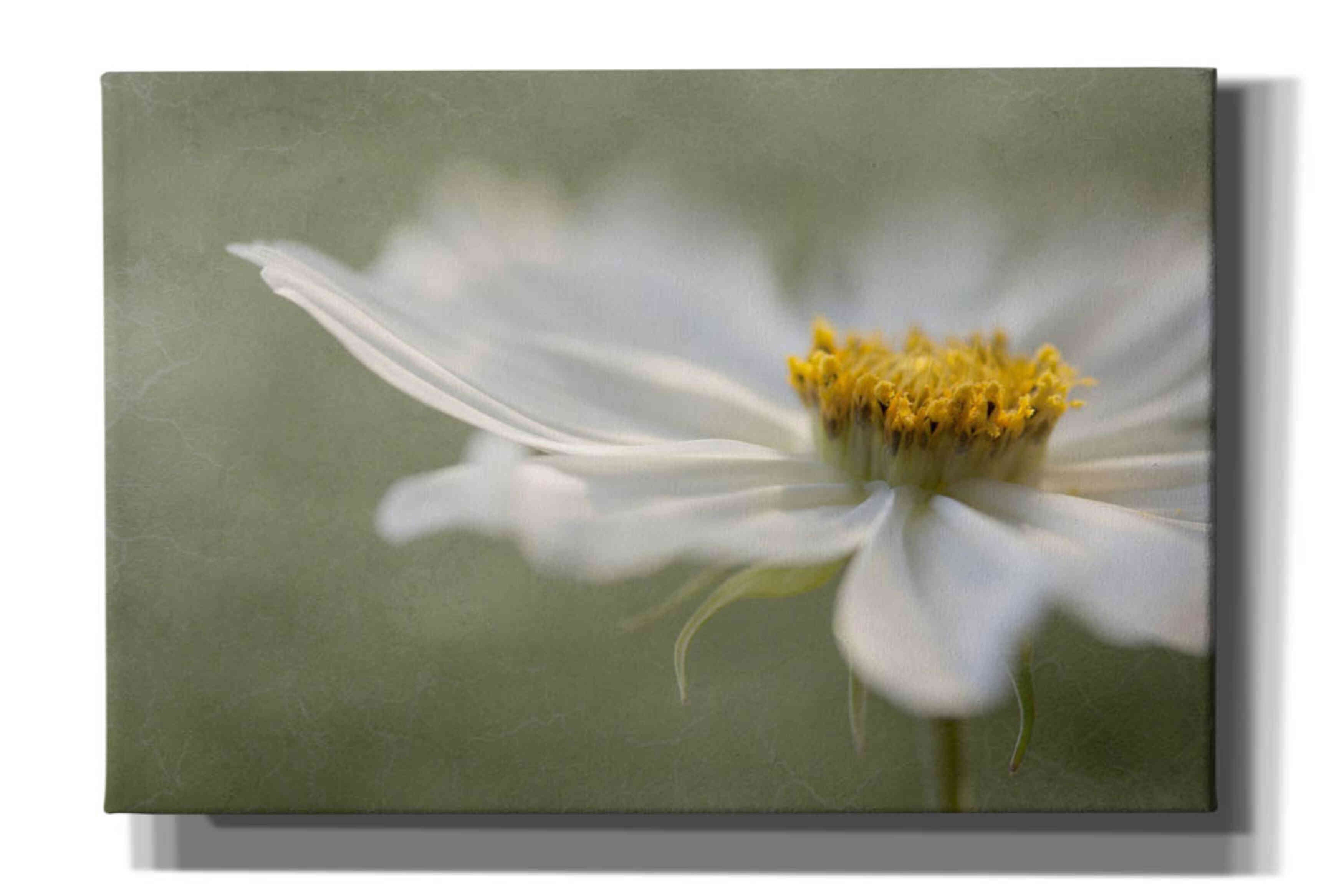 'Whisper' by Mandy Disher, Giclee Canvas Wall Art