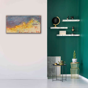 'Aerial' by Patrick Dennis, Giclee Canvas Wall Art,40x20