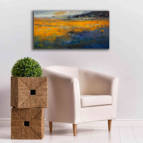 Image of 'Marshes' by Patrick Dennis, Giclee Canvas Wall Art,40 x 20
