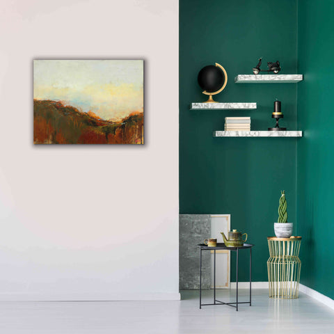 Image of 'The Bowl' by Patrick Dennis, Giclee Canvas Wall Art,34 x 26