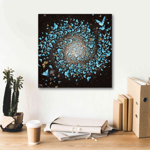 'Butterfly Galaxy' by Paula Belle Flores, Giclee Canvas Wall Art,18 x 18