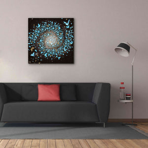 'Butterfly Galaxy' by Paula Belle Flores, Giclee Canvas Wall Art,37 x 37