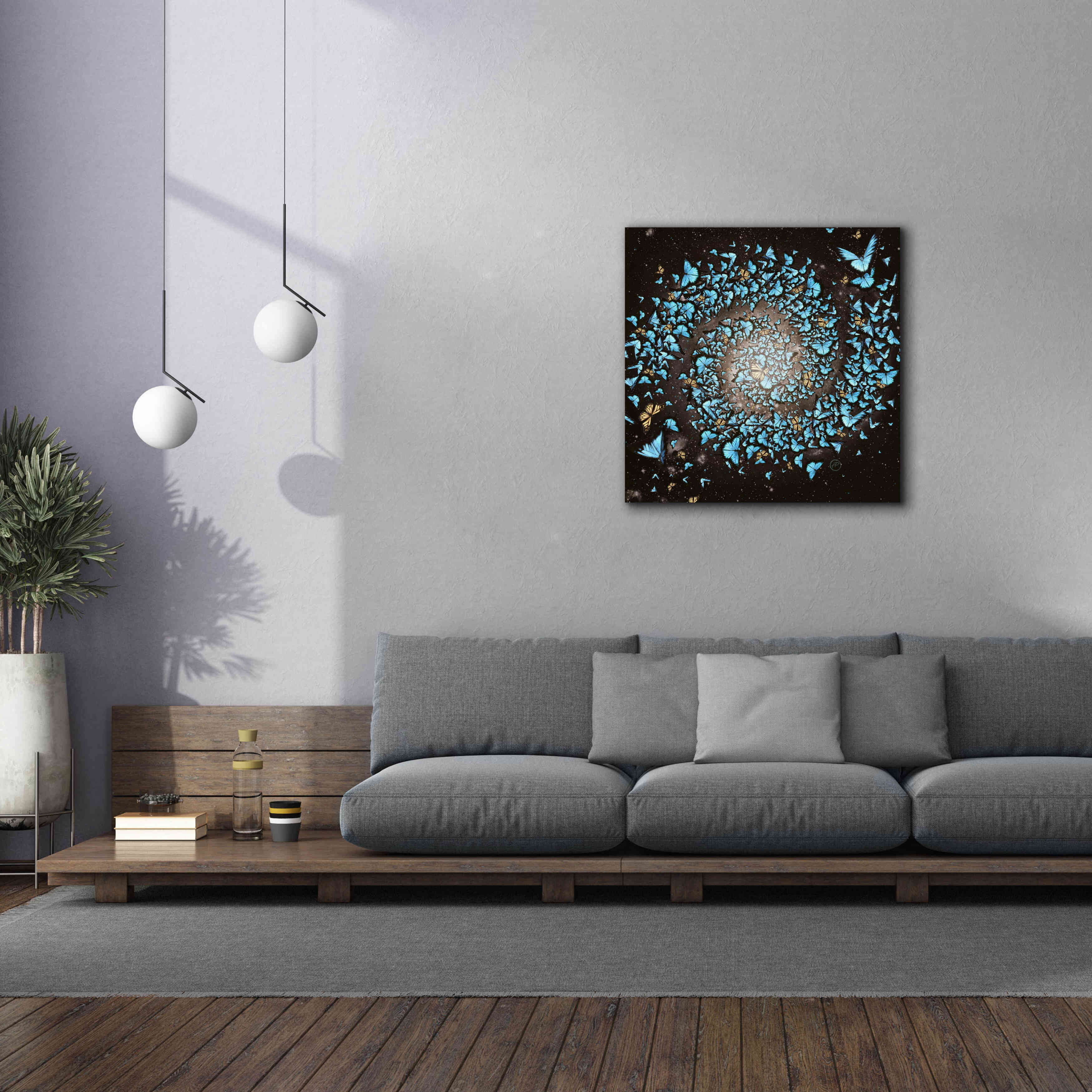 'Butterfly Galaxy' by Paula Belle Flores, Giclee Canvas Wall Art,37 x 37