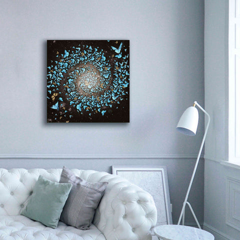 Image of 'Butterfly Galaxy' by Paula Belle Flores, Giclee Canvas Wall Art,37 x 37