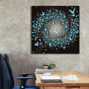'Butterfly Galaxy' by Paula Belle Flores, Giclee Canvas Wall Art,37 x 37