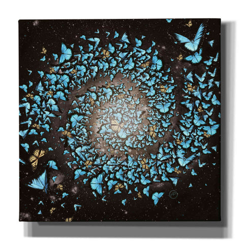 Image of 'Butterfly Galaxy' by Paula Belle Flores, Giclee Canvas Wall Art