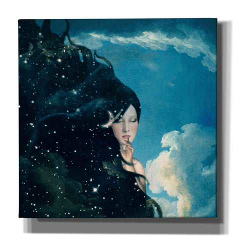 Image of 'Lady Night' by Paula Belle Flores, Giclee Canvas Wall Art
